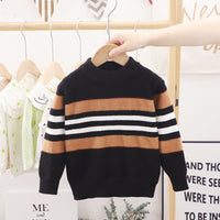 Boys' Fashion Simple Crystal Mink Velvet Round Neck Sweater
