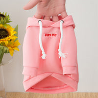 Cat Poodle Small Puppies Puppy Dog Clothes