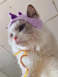 Pet Knitted Hat Little Dinosaur Short Cat