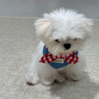 Cat Ins Scarf Saliva Pet Cute Bow