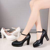 Women's High Heels Chunky Heel Waterproof Platform Spring And Autumn Versatile Professional Shoes