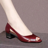 Women's Sandals Chunky Heel Dancing Shoes