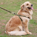 Alloy Buckle Chest And Back Traction Rope