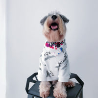 Pet clothes fall/winter sweater
