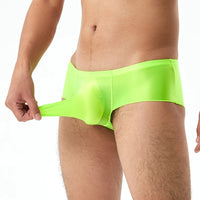 Thin Transparent Highly-elastic Plus Size Men's Low Waist Panties