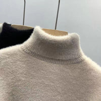 Inner Thickened Fleece-lined Top Sweater