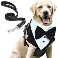 Pet Hand Holding Rope Anti Breaking Loose