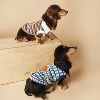 Tony Bear Dog Clothes Striped Polo Shirt