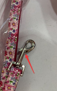 Classic Leash Set