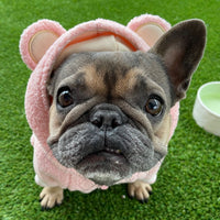 French Jarre Aero Bull Pet Fleece-lined Warm Ear-standing Sweater