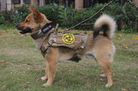 Five-speed adjustable nylon pin buckle dog collar