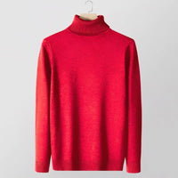 New Slimfit Turtleneck Sweater For Men