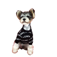 Dog Clothes Spring Pullover Dog Sweater Schnauzer