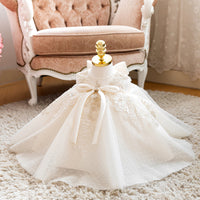 Dress Baby Full-year Birthday Catwalk Princess Dress