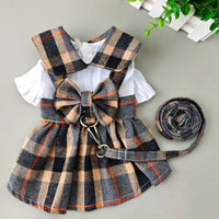 Dog Dresses For Outdoor Walks With A Leash