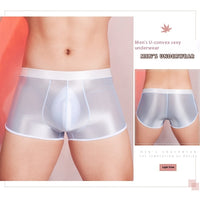 Men's Ultra-thin Elastic Silky Sports Boxer Briefs