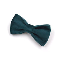 Sapphire Green Velvet Gold Buckle Hardware Pet Collar Leash