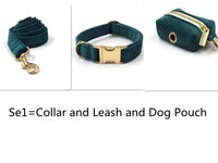 Sapphire Green Velvet Gold Buckle Hardware Pet Collar Leash