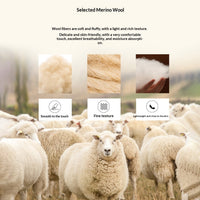 Men's Solid-Colored Wool Pullover Base Layer Sweater