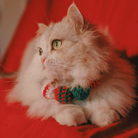 Pet Christmas Limited Ball Bib