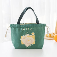 Cute Portable Ladies Handbag Insulation Lunch Box Bag