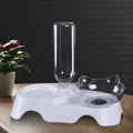 Anti Overturning Cat Bowl