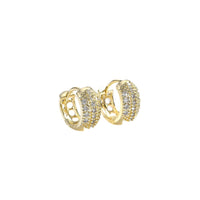 Women's 14K Gold Zircon Earrings