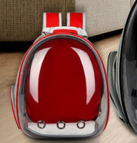 Rear Expandable Transparent Mesh Pet Backpack