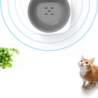 Automatically Filter And Circulate Cat Waterer