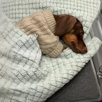 Winter Wear Warm Pet Autumnwinter Clothes