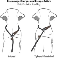 Dog Nylon Tow Rope Pull-resistant P Chain Round Rope Walking Single Dog Leash Dog Chain