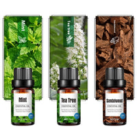 Aroma Diffuser Special Plant Sweet Orange Water-based Lavender Essential Oil 10ml