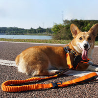 Pet Hand Holding Rope Buffer Retractable Reflective Traction Belt