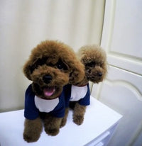 Dog Sweatshirt Letter Figure Fashion Embroidery