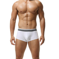 Gradient Stripes Belt Low Waist Cotton Thin Boxer Briefs