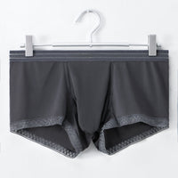 Men's Trunk Ice Silk Thin Nude Feel See Through Breathable Underwear