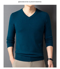 SpringAutumn Sweater V-Neck Top Men's