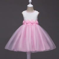 Girls' Chiffon Dress Children's Birthday