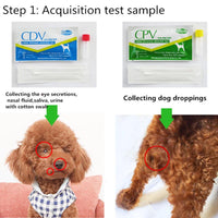 Pet CDV / CPV test paper