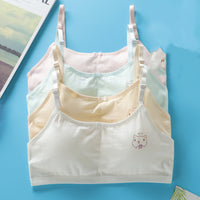 Student Big Girl Developmental Little Vest Bra