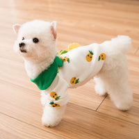 Pineapple Backpack Dog Clothes Pet Cute Breathable