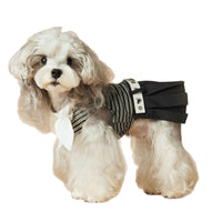 Dog Clothes Spring And Summer Striped Dress