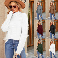 Women's Solid Color Knitted Turtleneck Twist Sweater