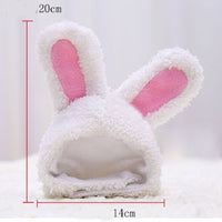 Fashion Warm Rabbit Ears Pet Hat