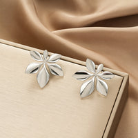 Premium Fashion Irregular Earrings, High-End Unique Niche Design, Stainless Steel Earrings Jewelry For Women
