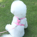 Reflective Chest Strap Vest-style Small Dog Walking Dog Hand Holding Rope