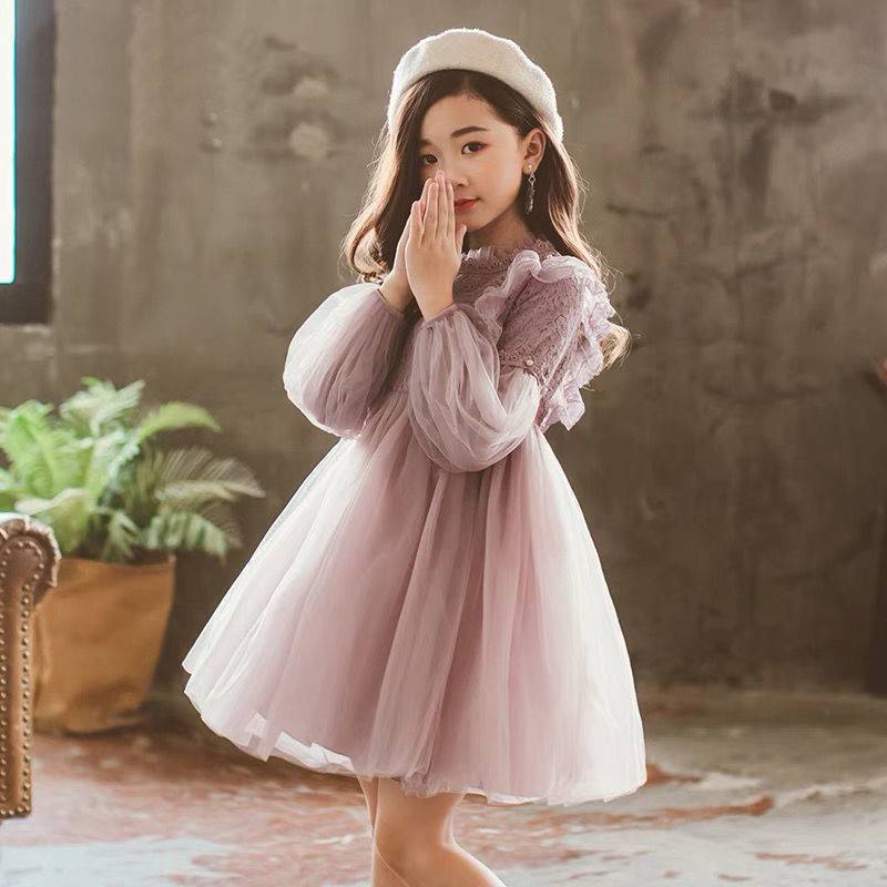 Children's Clothing Girls Autumn Clothing  New  Long-sleeved Princess Dress