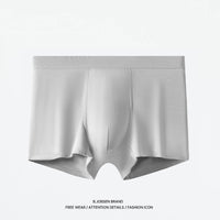 Antibacterial Crotch Plus Size Summer Breathable Thin Boys Boxer Briefs Heads