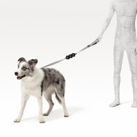 Dog shock absorbing traction rope