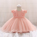 Flower Girl Baby Lace Crochet Princess Mesh Dress